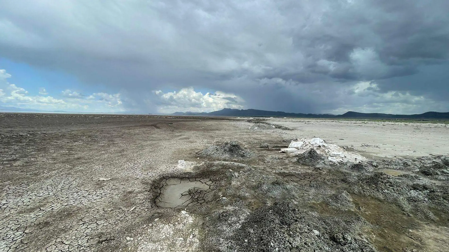 laguna de bustillos 